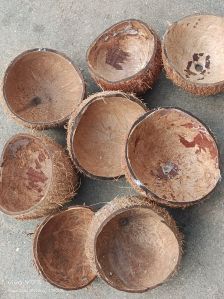 GHP Traders Natural Raw Coconut Shell, Color : Brown Dried for Handicraft