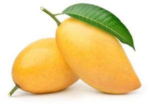 Natural Fresh Mango, Packaging Type : Carton