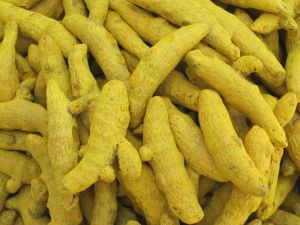 Rajapuri Turmeric Finger