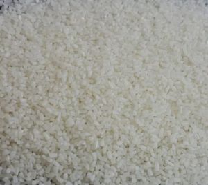 Hard Common Broken White Rice, Packaging Type : Plastic Bags