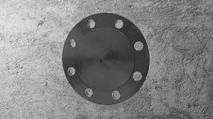 F91 Alloy Steel Flange