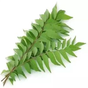 Organic Curry Leaves