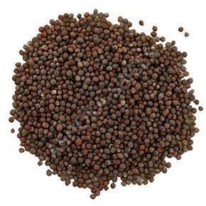 Black Mustard Seeds For Spices, Cooking