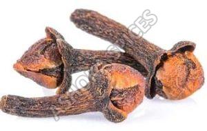 Indian Clove