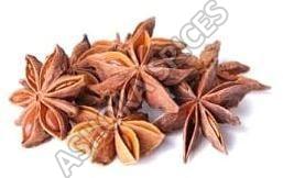 Indian Star Anise