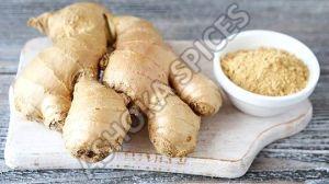 Organic Ginger Powder, Packaging Type : Box