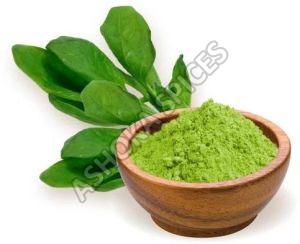 Green Organic Spinach Powder, For Food Industry, Packaging Type : Plastic Packet