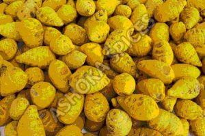 Turmeric Bulb, Color : Yellow