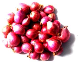 Fresh Small Onion