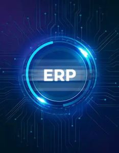 erp software development