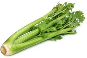 Fresh Celery, Quality Available : A Grade