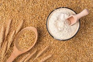 Organic Lokwan Wheat Flour