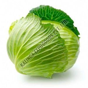 Fresh Cabbage, Color : Green