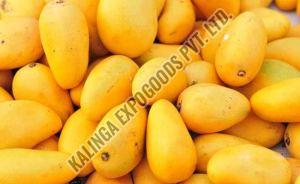 Natural Fresh Mango, Color : Yellow, Certification : FSSAI Certified