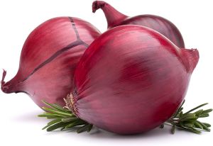 Lloyd Natural Onions, Color : Red, Packaging Size : 25Kg, 50Kg