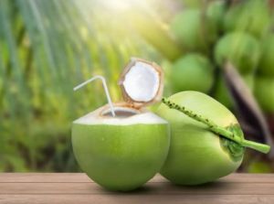 Natural Tender Coconut Water, Color : Green, Packaging Type : Gunny Bags, Coconut Size : Large