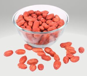 Raw Groundnut Seeds