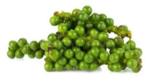 Green Pepper, Packaging Size : 10 Kg, Packaging Type : Plastic Bags