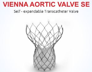 Vienna Aortic Valve Se - Transcatheter Aortic Valve