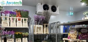 Cold Storage For Floriculture