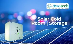 Solar Cold Storage Room