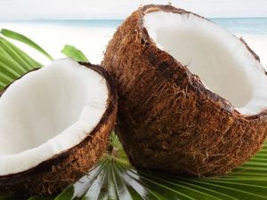 Coconut, Packaging Type : Packed In Protective Cartons For Pooja, Cooking