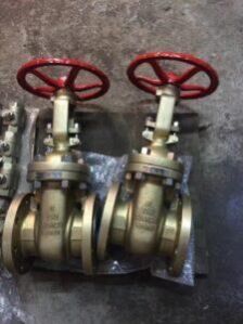 Aluminium Bronze Gate Valve