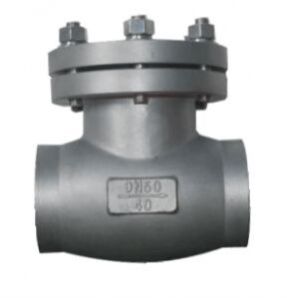 CF8 Cryogenic Check Valve