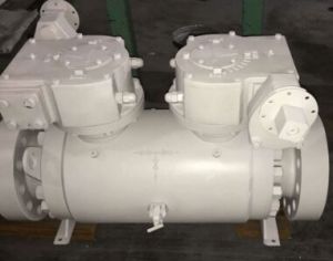 Double Block and Bleed Ball Valve