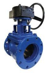 Eccentric Plug Valve