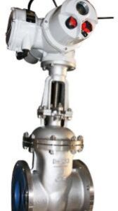 Electric Actuated Gate Valve