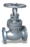 Incoloy Globe Valve