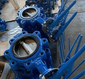 Lug Butterfly Valve