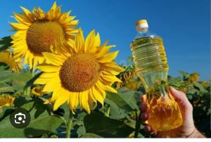 Sunflower Refined Oil, Packaging Type : Drum, Packaging Size : Tanker