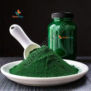 Organic Pure Spirulina Powder, Color : Green, Packaging Type : Plastic Pouch For Support Immune Health