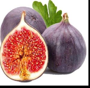 Fresh Fig