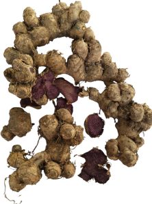 Organic Black Ginger, Packaging Type : Rice Bag 40 kg