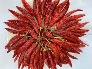 S4 Sannam Dry Red Chilli