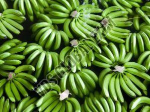 Fresh Cavendish Banana, Packaging Type : Corrugated Box, Packaging Size : 5-25kg For Human Consumption