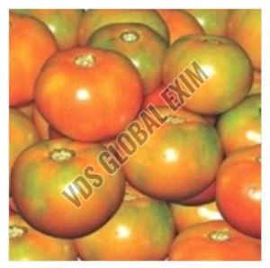 Fresh Pusa Ruby Tomato, Packaging Size : 200kg, Packaging Type : Plastic Bag