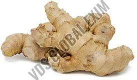 Fresh Rio-de-janeiro Ginger, Color : Brown, Packaging Size : 5-25kg, Packaging Type : Gunny Bag