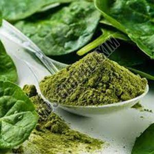 Spinach Powder, Packaging Size : 5-25kg, Packaging Type : Plastic Bag For Human Consumption