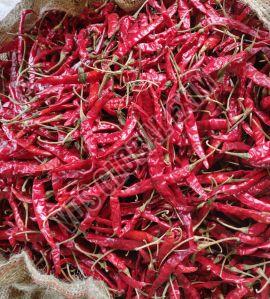 Raw Teja Dry Red Chilli, Grade Standard : Food Grade, Packaging Type : Plastic Bag, Packaging Size : 5-25kg