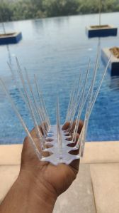 Polycarbonate Bird Spikes