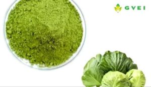 GVEI Dehydrated Cabbage Powder