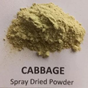 Gvei Spray Dried Cabbage Powder, Packaging Type : Plastic Packets