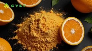 GVEI Spray Dried Orange Powder