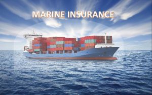 Marine Insurance Service