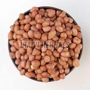 Natural Seeds Ground Nut For Cooking