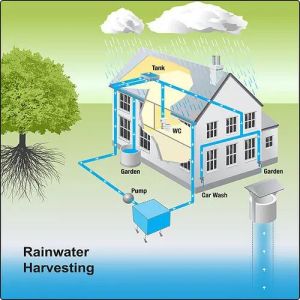 Rainwater Harvesting System